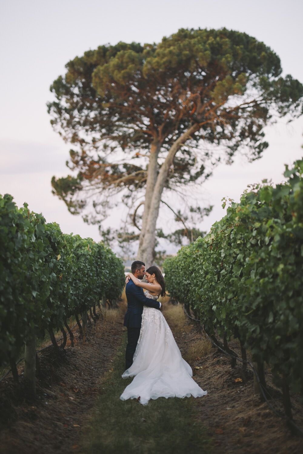 Yarra Valley vineyard wedding photo