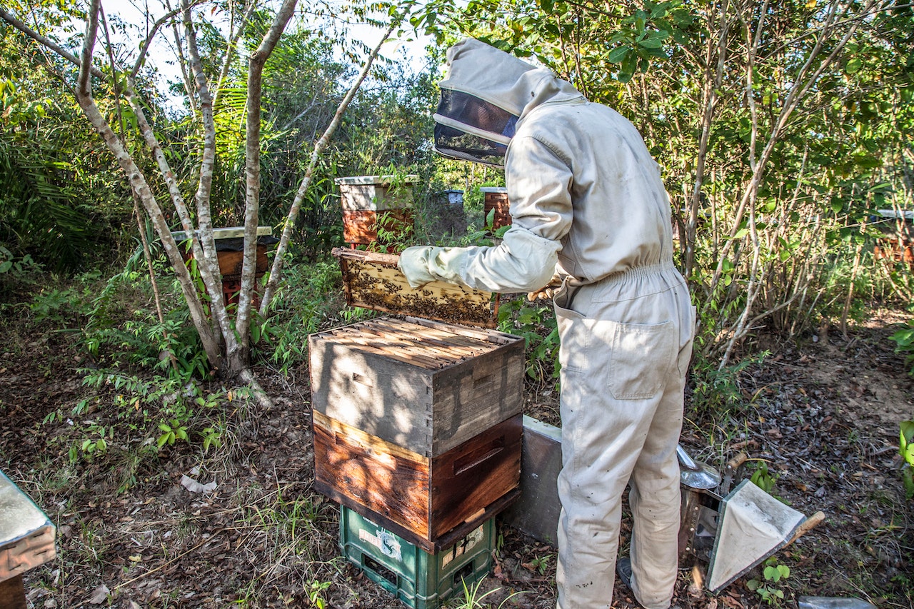 Bee Hives, Bumblebee Hives, Bee Hive Planters, Beehive Decor